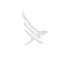 TechHawks Logo
